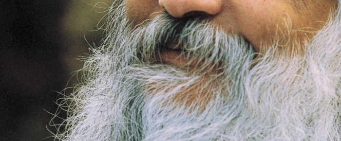 SOLITAR ŞI ALES SOLITAR ŞI ALES